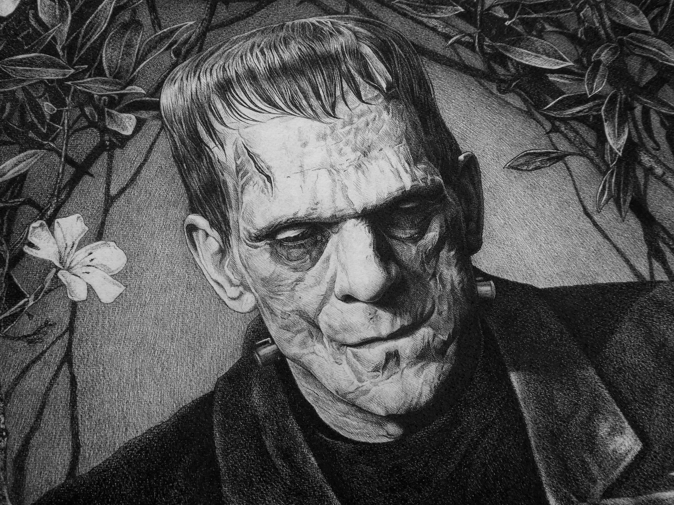 Frankenstein_web_2